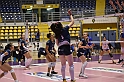 MAS_2962