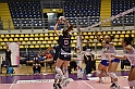 MAS_2988