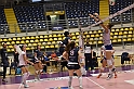 MAS_2994
