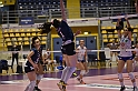 MAS_3148