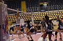 MAS_3350