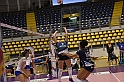 MAS_3354