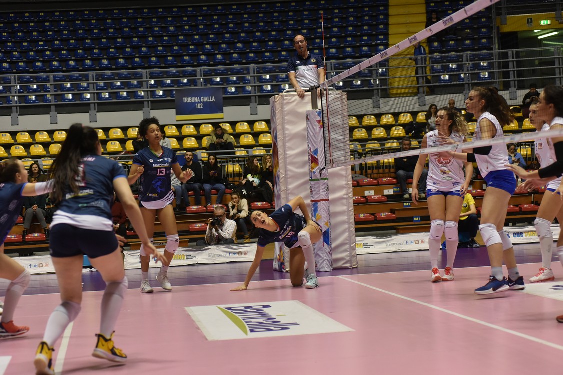 MAS_10187.jpg
