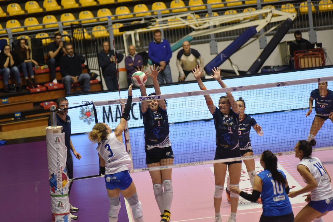 MAS_10260.jpg