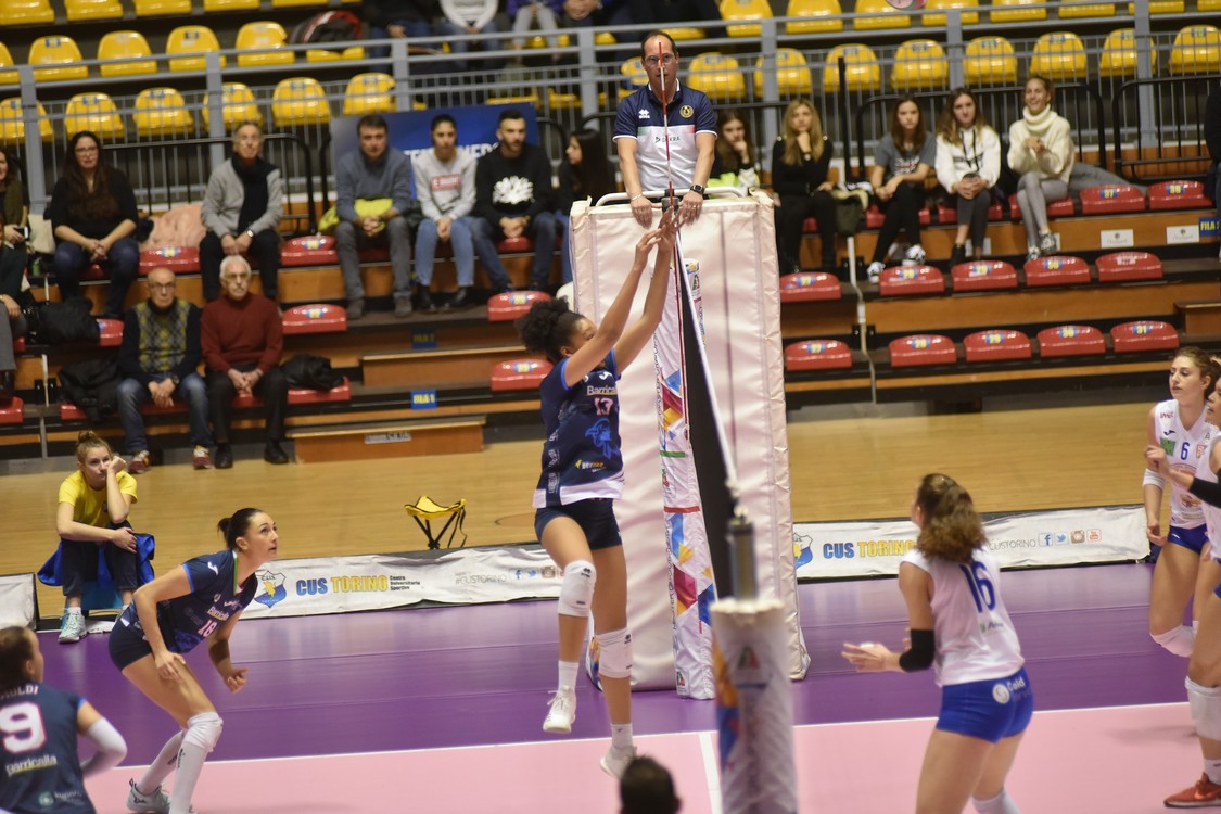 MAS_9854.jpg