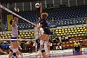 MAS_10161