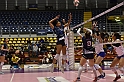 MAS_10196