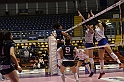 MAS_10198