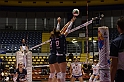 MAS_10239