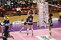 MAS_9832