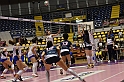 MAS_9917