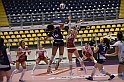 MAS_0291