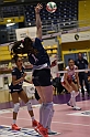 MAS_0395