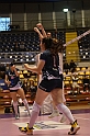 MAS_6876