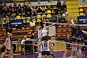 MAS_7011