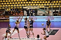 MAS_7017