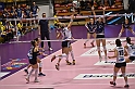 MAS_7034