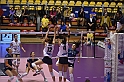 MAS_7043