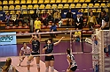 MAS_7051