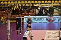 MAS_7053