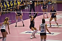 MAS_7071