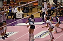 MAS_7081