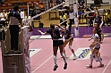 MAS_7154
