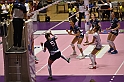 MAS_7156