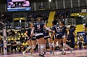 MAS_7184