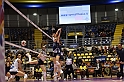 MAS_7198