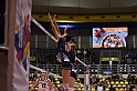 MAS_7248
