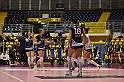 MAS_7254