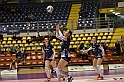 MAS_7307