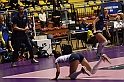 MAS_7339