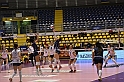 MAS_7353