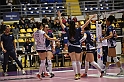 MAS_7392