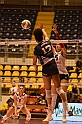 MAS_7443