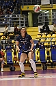 MAS_7577