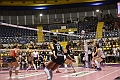 MAS_1042