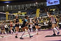 MAS_1066