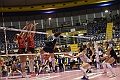 MAS_1081