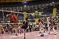 MAS_1082