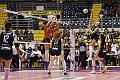 MAS_1097