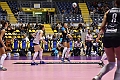MAS_1184