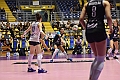 MAS_1195
