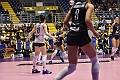 MAS_1196