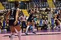 MAS_1239