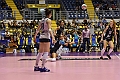 MAS_1354
