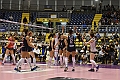 MAS_1371