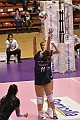 MAS_8503